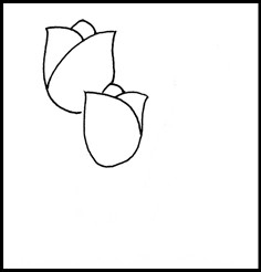 运用遮挡关系画第二朵郁金香花.
