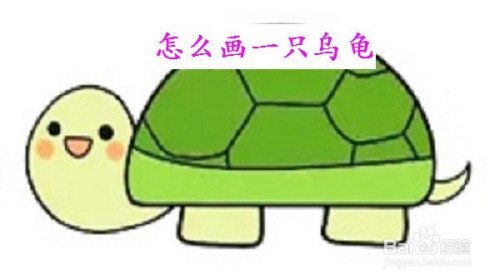 怎么画一只乌龟