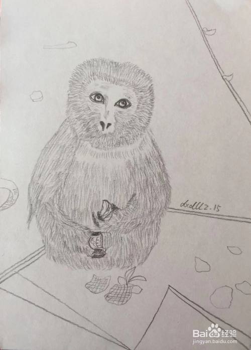 我们画出猴子前肢末端的手指,在其手掌中画出橘子.
