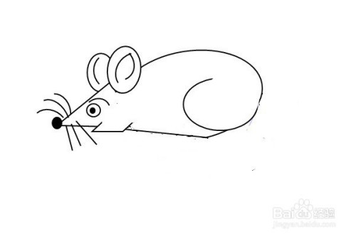 怎样画老鼠的简笔画