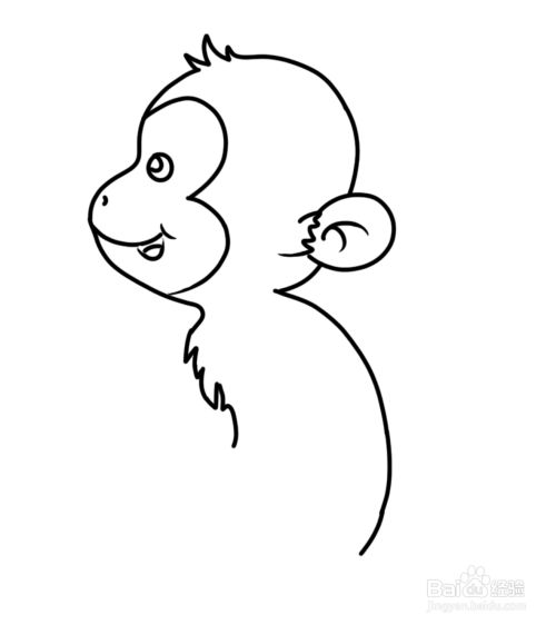 一只可爱的小猴子的简笔画