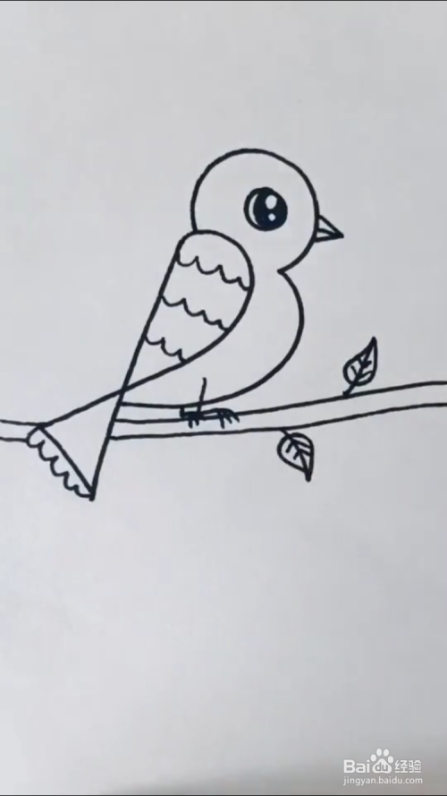 鸟的简笔画怎么画?