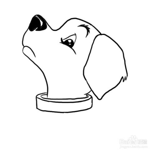 简笔画:一只傲娇的斑点狗
