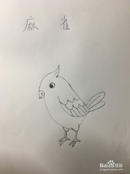 麻雀简笔画怎么画?