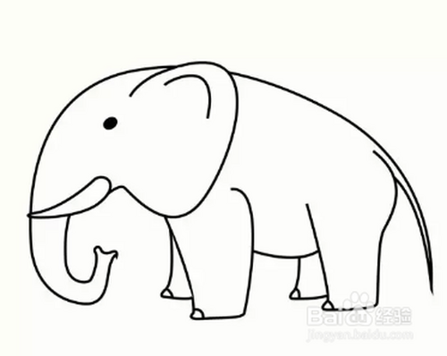 可爱的大象简笔画画法