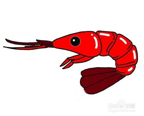 怎么画出红色的大虾?