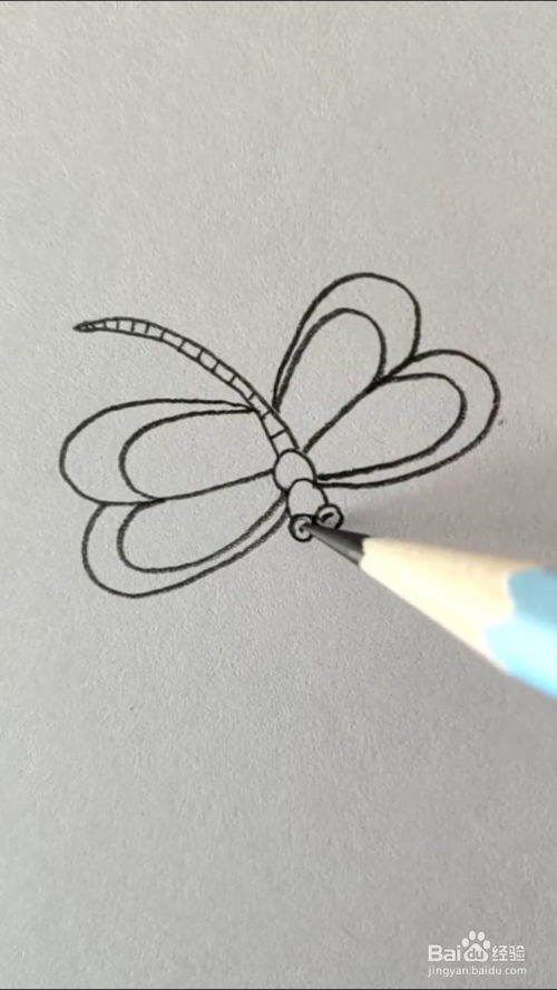 蜻蜓的简笔画如何画?