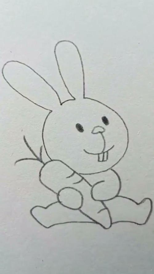 4 画出小白兔的胳膊及抱在怀里的萝卜. 5 再画出小白兔的两只腿即可.