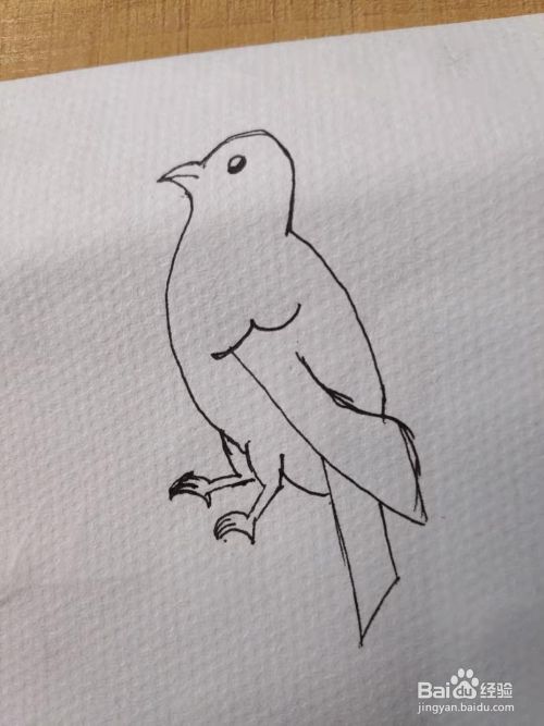 画出鸟的两只脚.