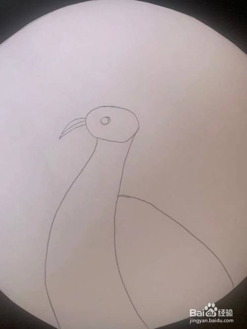 创意儿童画孔雀