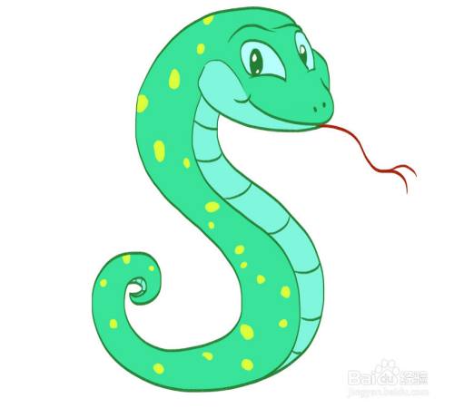 蝰蛇的简笔画