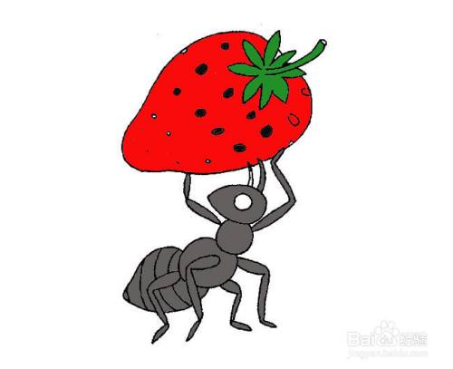 搬草莓的蚂蚁简笔画