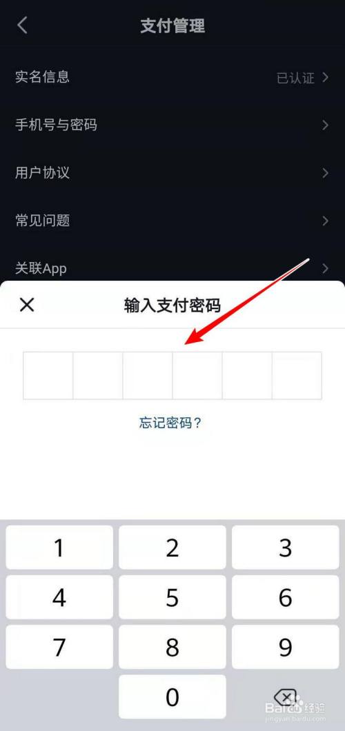 抖音支付的指纹支付怎么开启