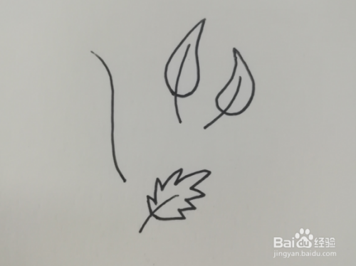 简笔画叶子的画法有哪些