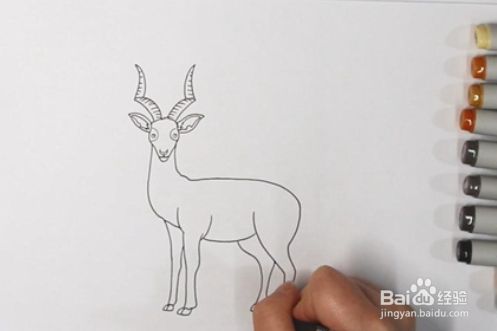 羚羊的简笔画怎么画