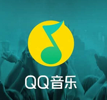 qq音乐如何查看已关注的歌手