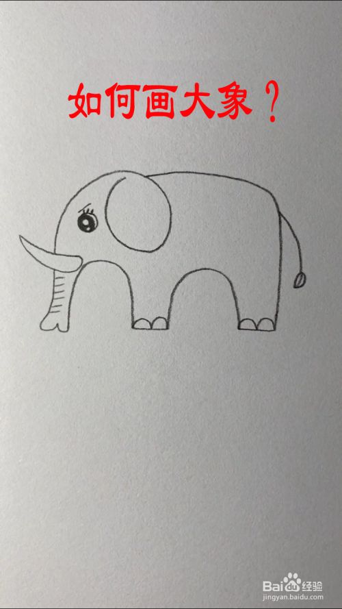 2 接着画出大象的鼻子,象牙,耳朵,如下图所示.