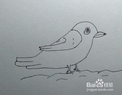 简笔画:如何一步一步画一只小鸟