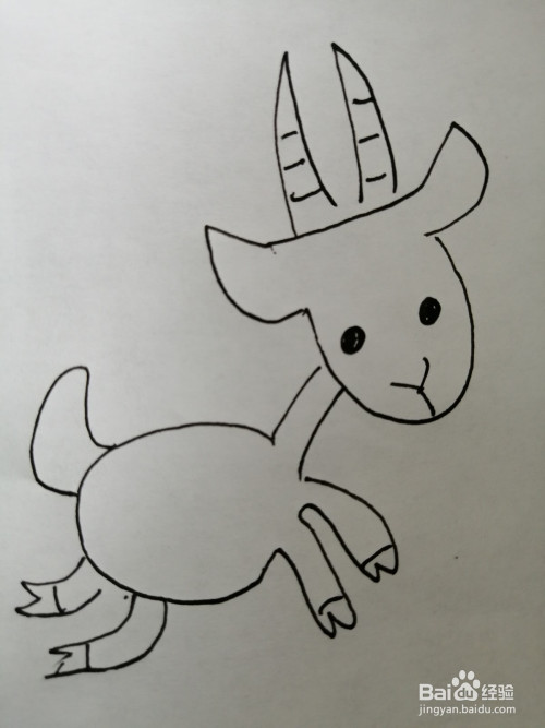 下面,小编和小朋友们一起来分享简笔画可爱的小羊的画法.