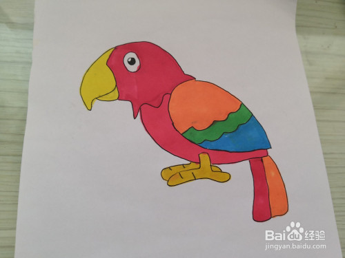 彩色鹦鹉的简笔画