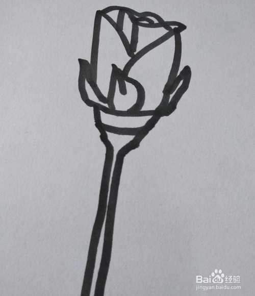 玫瑰花的简笔画怎么画?