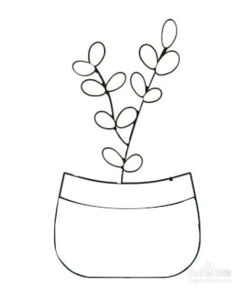 绿色圆盆植物的简笔画法:画出花盆上的绿植,在树枝两侧画上椭圆形的