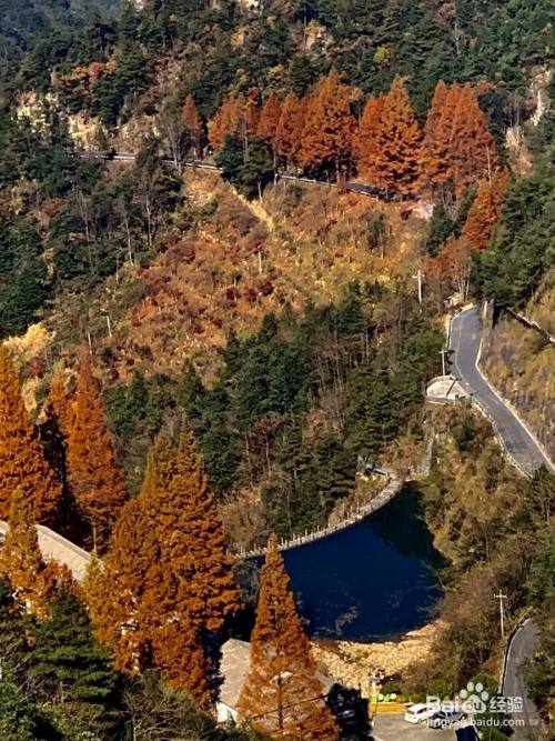 广西大明山风景区自驾游攻略