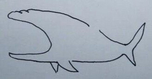 如何快速画 简笔画 鲨鱼