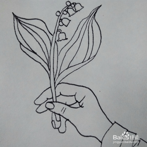 如何画拿着一颗植物花的手卡通简笔画