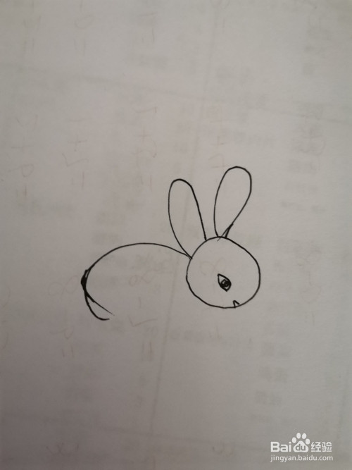 一年级美术简笔画:小兔子