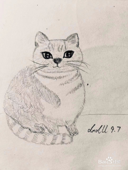 猫咪的素描画教程