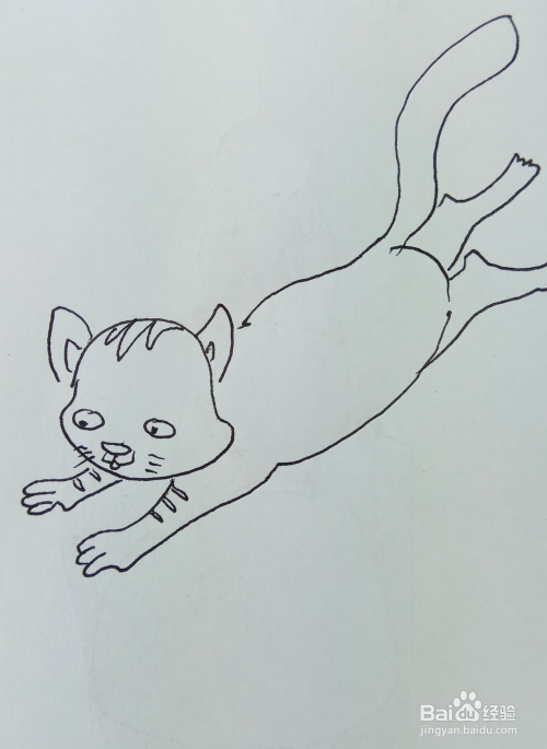 怎样画儿童简笔画【奔跑的猫】?