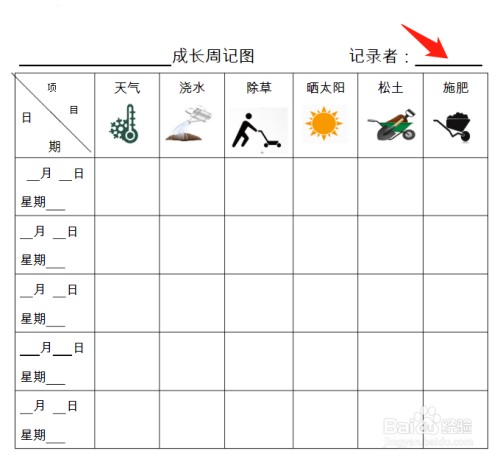 观察植物表格怎么写