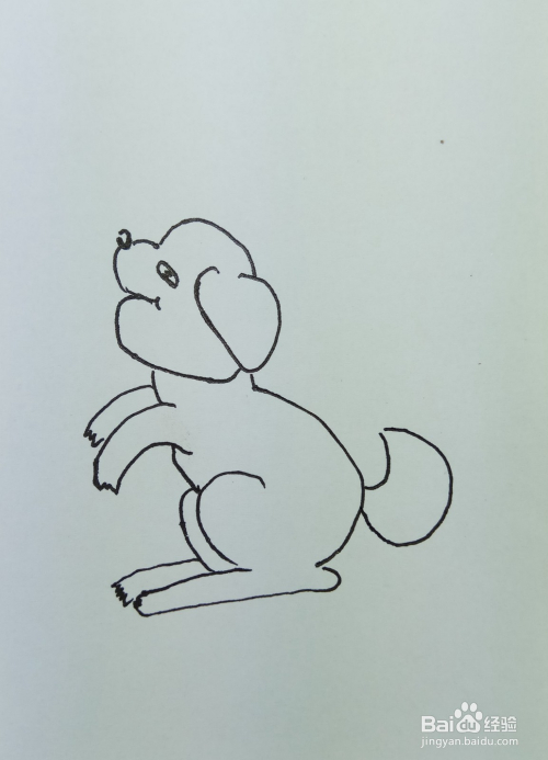 怎样画简笔画"坐着的小狗"?