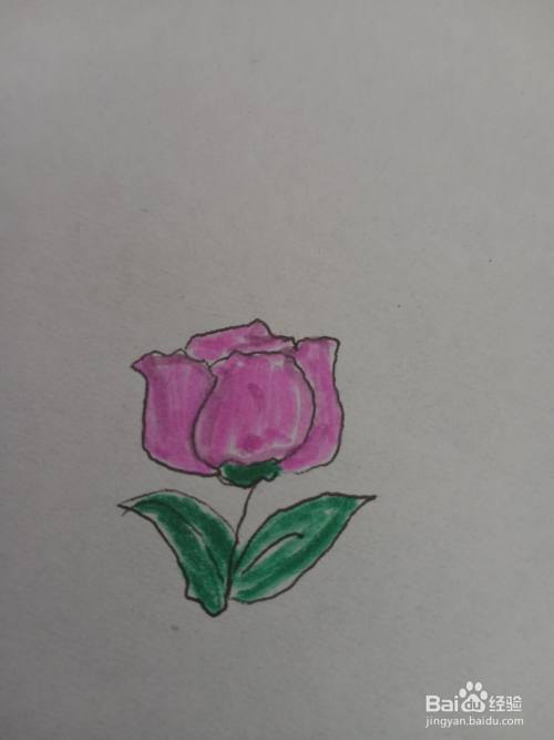 玫瑰花怎么画?