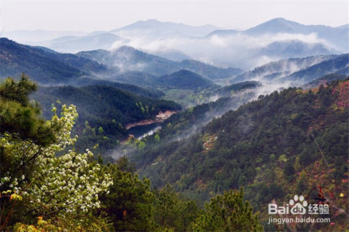 武汉云雾山旅游怎么样