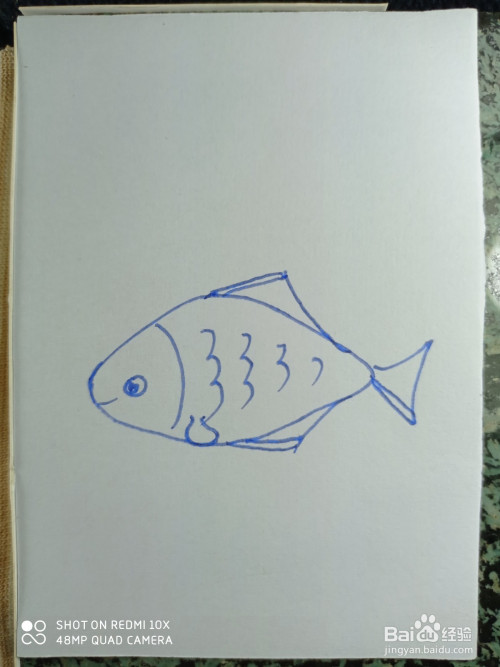 再用弧线画出鱼的尾巴部分,简笔画小鱼就画好了.