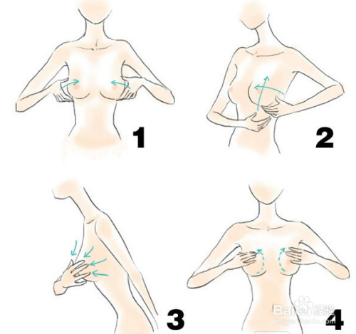 丰胸方法,美胸方法