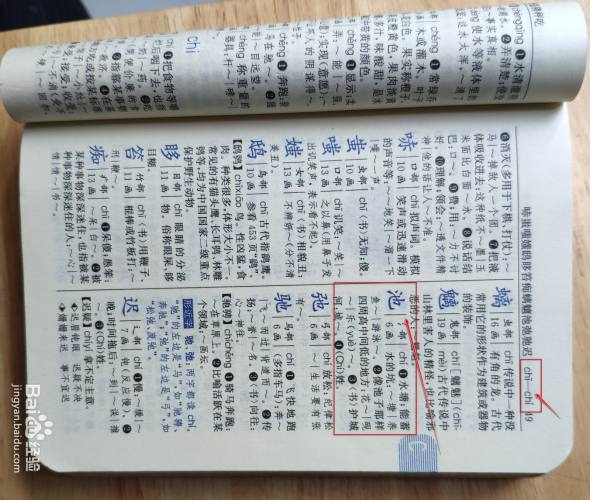 根据音节的声调查找【池】字.