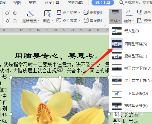 wps文字如何设置图片的环绕方式