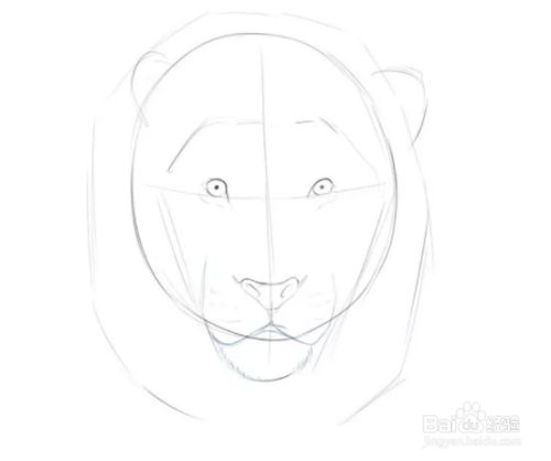 如何画狮子头