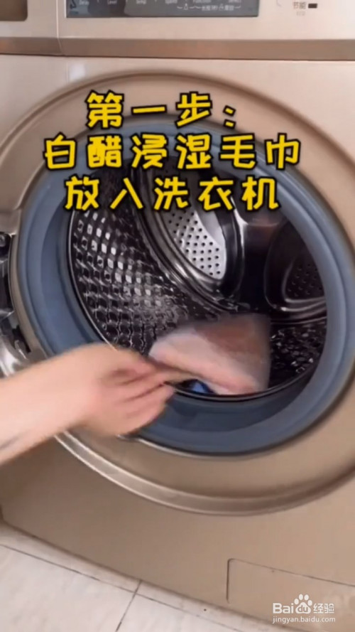 清洁洗衣机的方法.