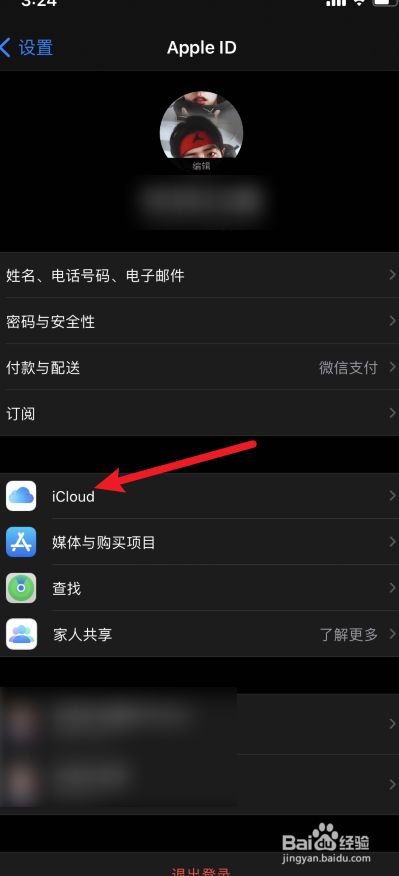 在apple id里面点击icloud.