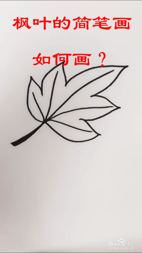 枫叶的简笔画如何画?