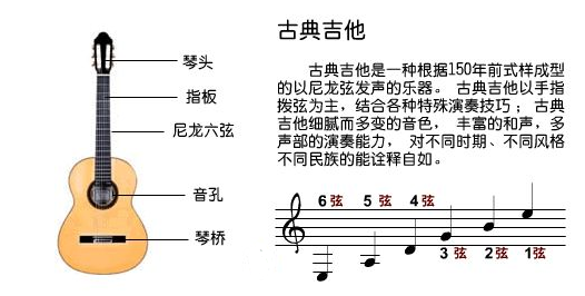 吉他的种类分哪几种（吉他分哪些种类）