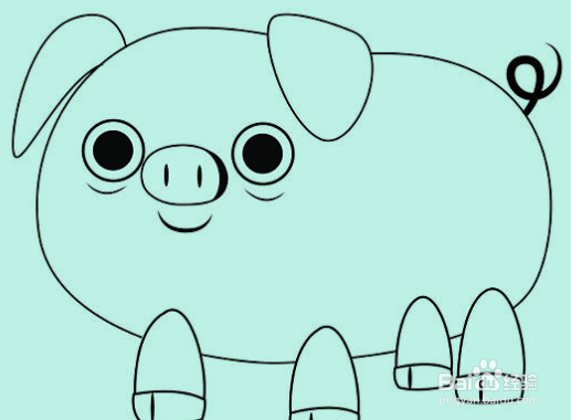 为你的猪绘制一个卷曲的尾巴.画出眼睛下的口鼻部和圆弧的缝隙.