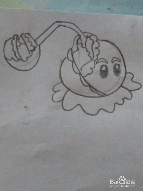 植物大战僵尸 卷心菜投手 简笔画 绘画教程