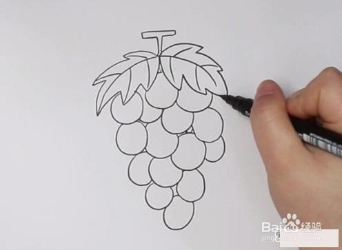 怎么绘制葡萄简笔画