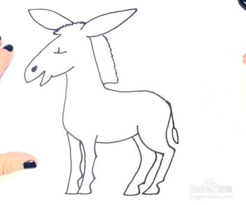 简笔画教程——如何用彩笔一步一步画小毛驴?