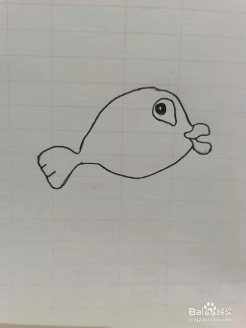 如何画鱼的简笔画